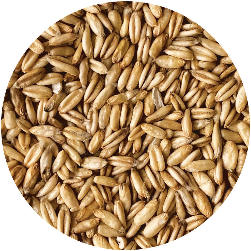 Whole Oats