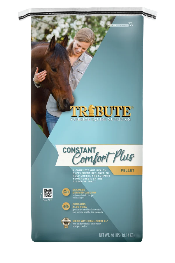 Constant Comfort Plus