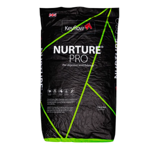 Keyflow Nurture Pro