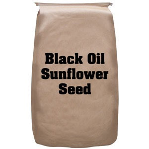 Black Oil Sunflower Seed