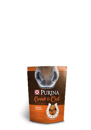 Horse oat 2025 bag