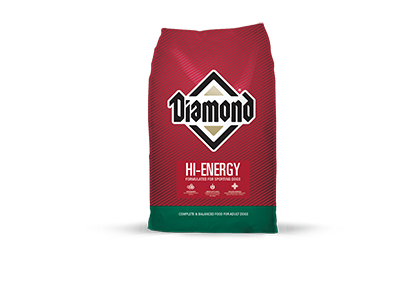 Diamond Hi-Energy Dog Food