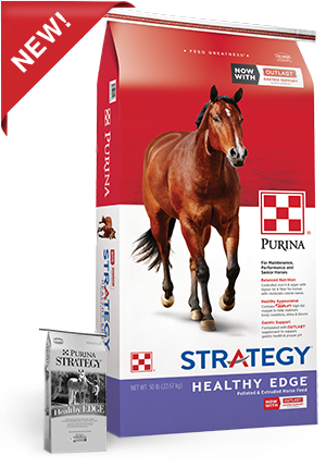 purina-strategy-healthy-edge