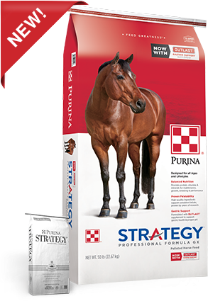 Purina Strategy Professional Formula GX Horse Feed