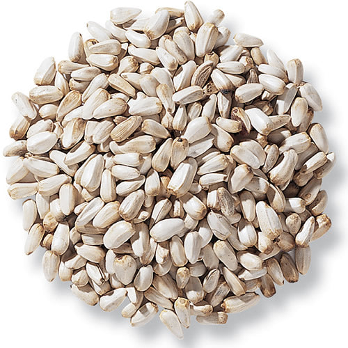 plant safflower seeds Safflower Seed – Orchard Country Store