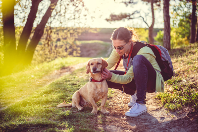 How to Remove a Tick From Your Pet Safely and Easily