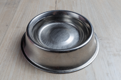 Is It Harmful to Allow Animals of Different Species to Share the Same Water Bowl?