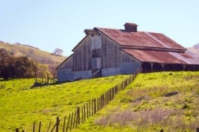 Spring on the Farm