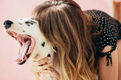 Good Dental Hygiene is a Must for Your Pet's Optimal Health: