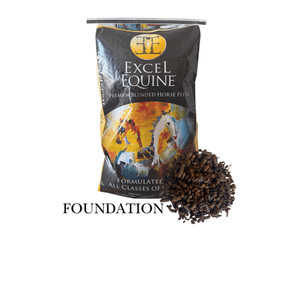 Excel Complement Foundation