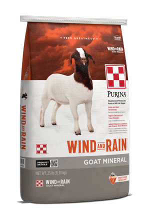 Wind & Rain Goat Mineral