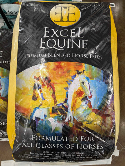 Excel Complement Foundation