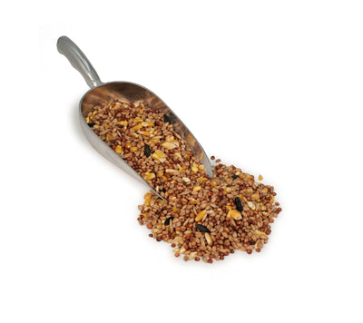 Scratch 5 Grain