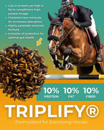 Excel Equine Triplify Textured