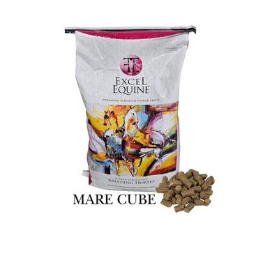 Excel Equine Mare Cube