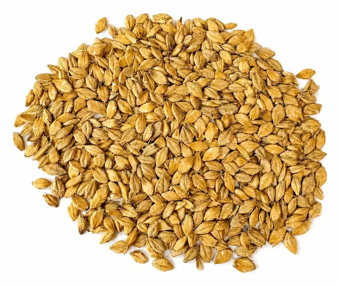 Steam Rolled Barley, 50 lb.