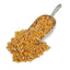 Shelled Corn