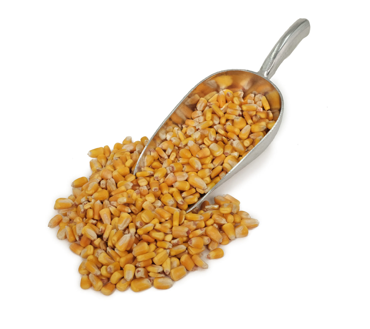 Shelled Corn