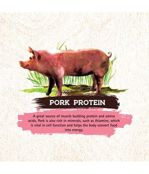 inception Pork Recipe