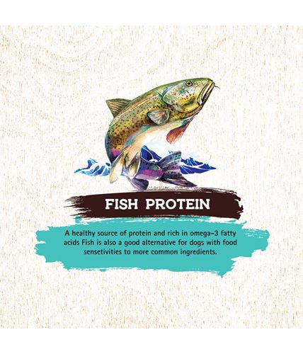 inception Fish Recipe