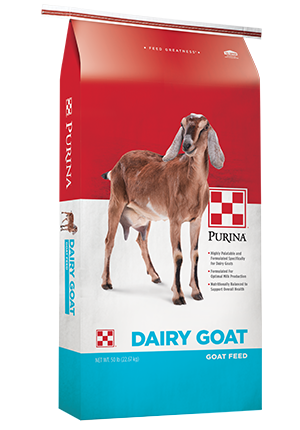 Purina Dairy Goat Parlor 16