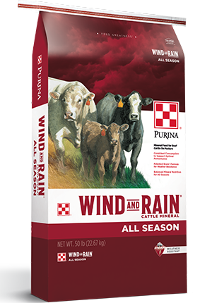 Wind & Rain Storm Season 7