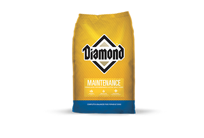 Diamond Maintenance Formula Dog Food