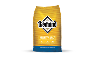 Diamond Maintenance Formula Dog Food