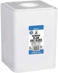 Morton White Salt Block