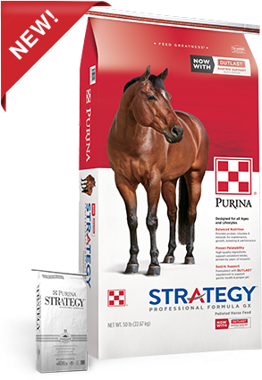 purina-strategy-professional